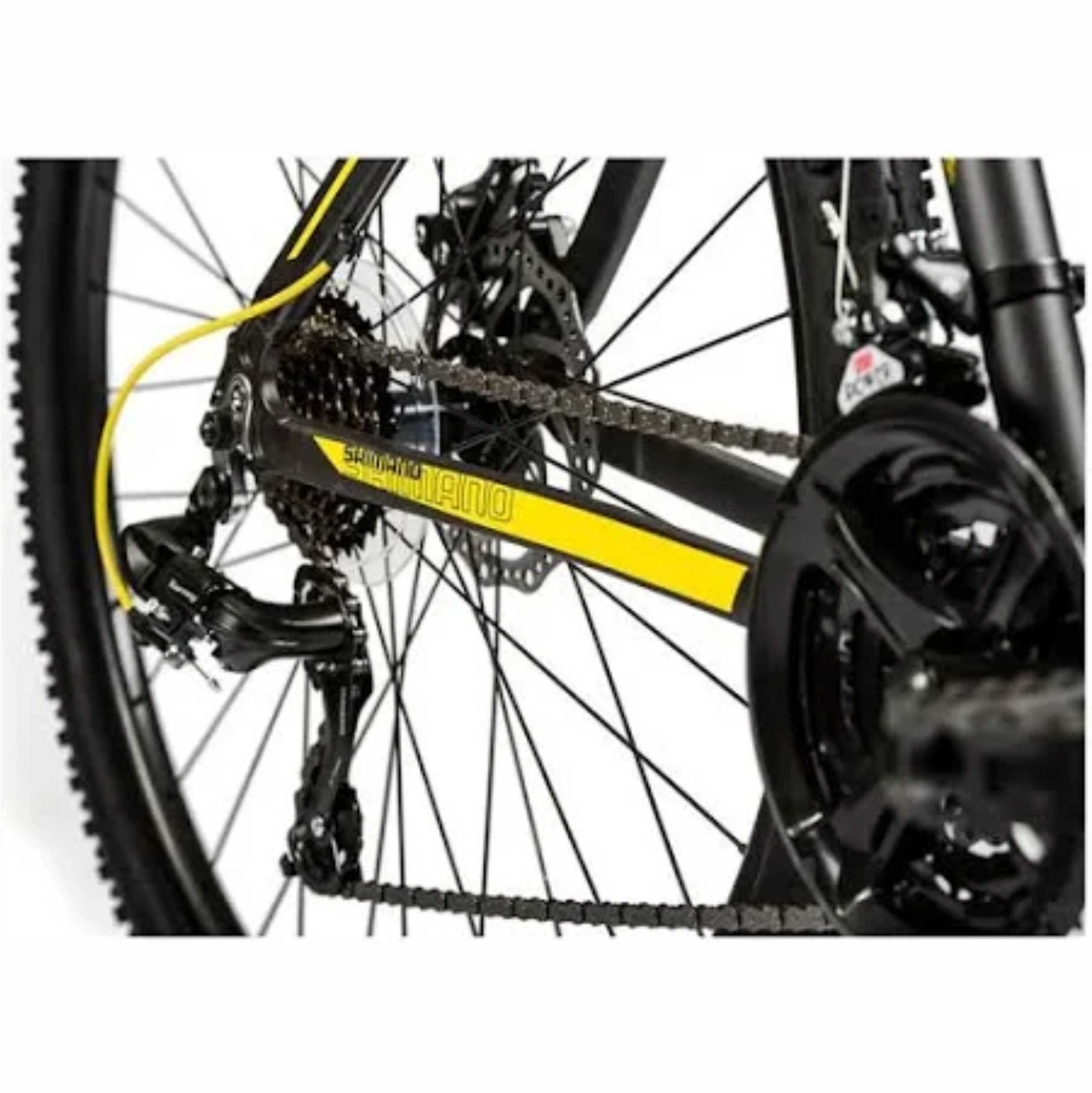 Bicicletas