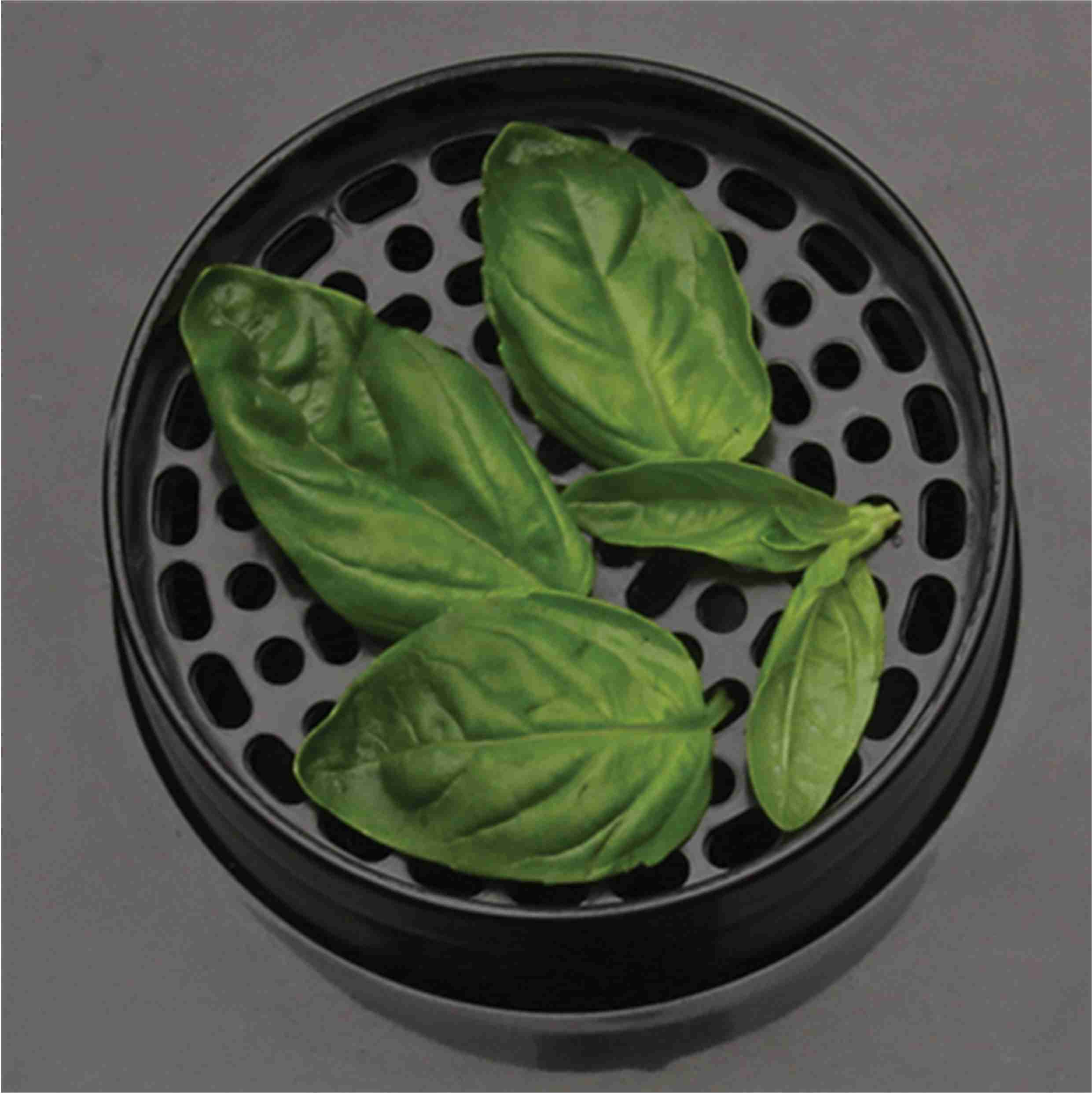 Vaporieras