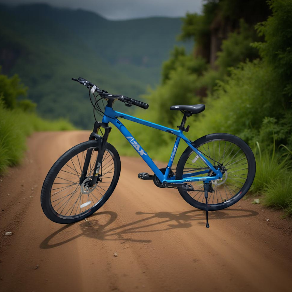 Bicicletas